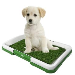 Baño Portátil para Cachorros y Perros Pequeños