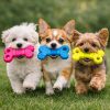 Juguete Masticable para Perros en Forma de Hueso Color Verde, Azul y Fucsia