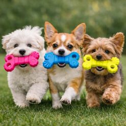 Juguete Masticable para Perros en Forma de Hueso Color Verde, Azul y Fucsia
