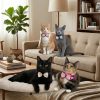 Collar para Gatos con Lazo Elegante