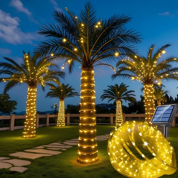 1 (2)-convertido-a-mediano